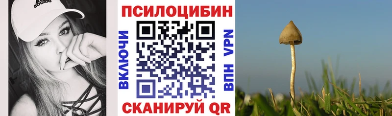 Псилоцибиновые грибы GOLDEN TEACHER  Бахчисарай 